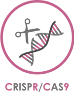 CRISPR-CAS9_Cellenion_title