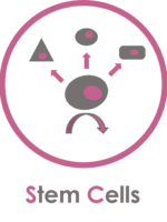 Stem_Cells_-_Cellenion_title Stem_Cells_-_Cellenion_title