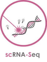 scRNA-Seq_title