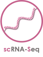 sc-RNA
