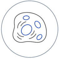 Image 16@2x Image 16@2x