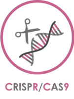 CRISPR-CAS9_Cellenion_title CRISPR-CAS9_Cellenion_title