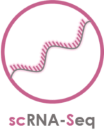 sc-RNA sc-RNA