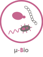 u-bio u-bio