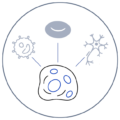 Cellenion-Icons_stem-cell-120x120 Cellenion-Icons_stem-cell-120x120