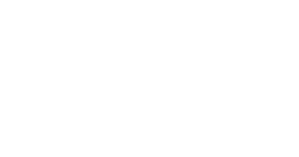BioNano Consulting Logo