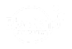 BioNano Consulting Logo