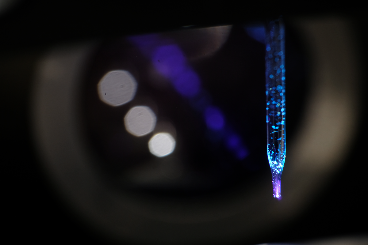 DSCF8373sm