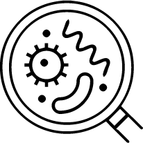 Microbio