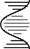 scRNAseq