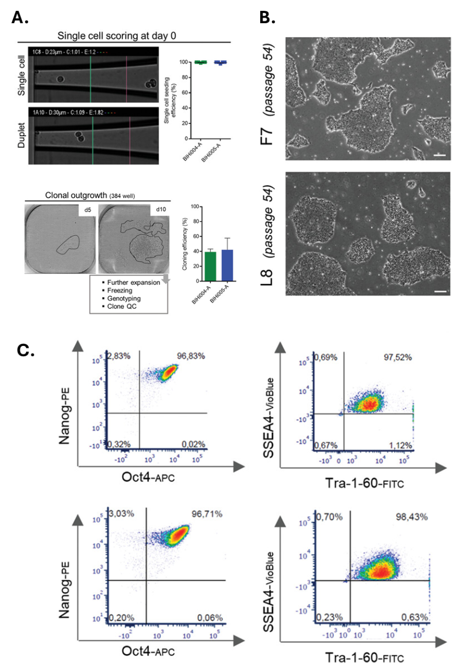Enhancing the efficiency and reproducibility of Human Pluripotent Stem ...