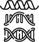 ProteinRNADNA