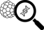 Asset-21.png