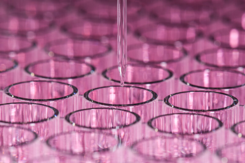 cellenone-pink